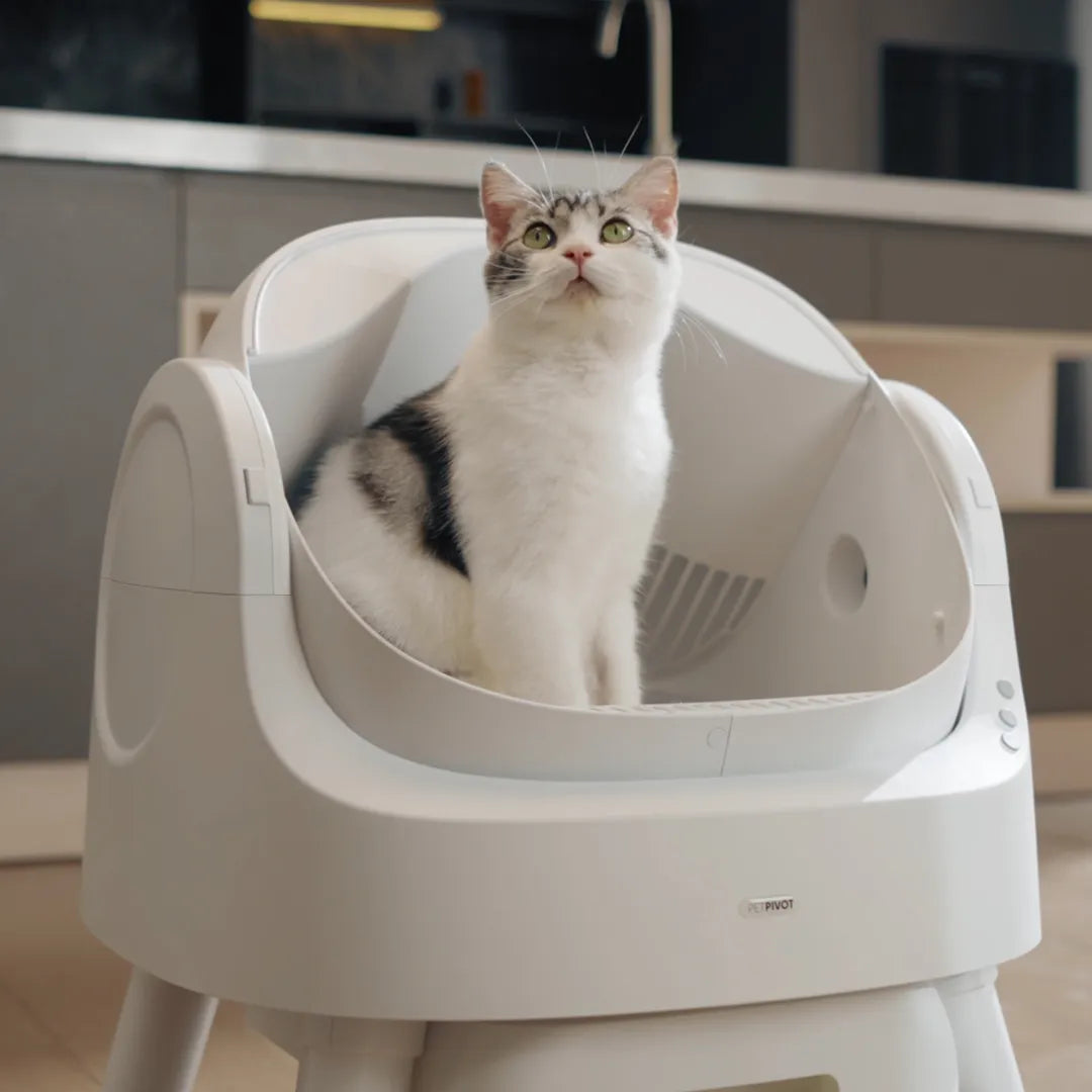 The CleanKitty - Smart Litter Box