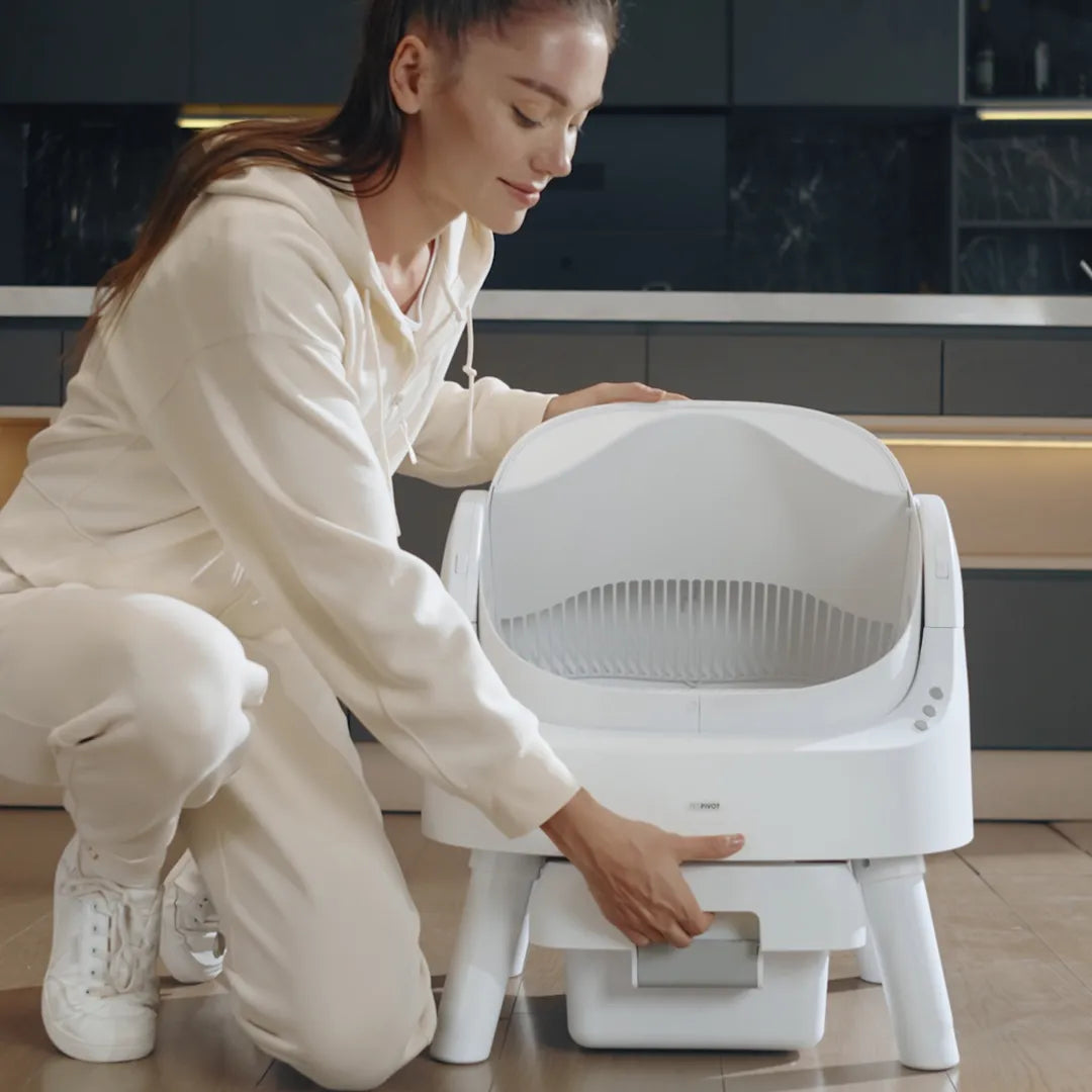 The CleanKitty - Smart Litter Box